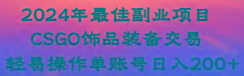 2024年最佳副业项目 CSGO饰品装备交易 轻易操作单账号日入200+-鼎铸网