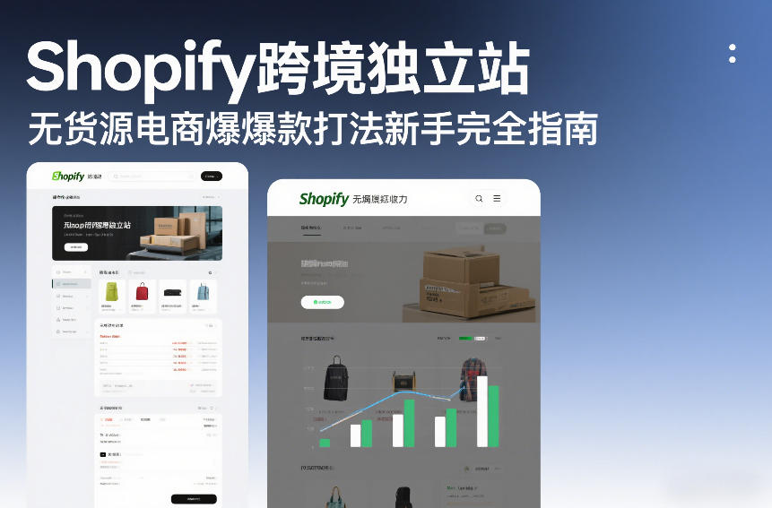 Shopify跨境独立站无货源电商爆款打法新手完全指南-鼎铸网