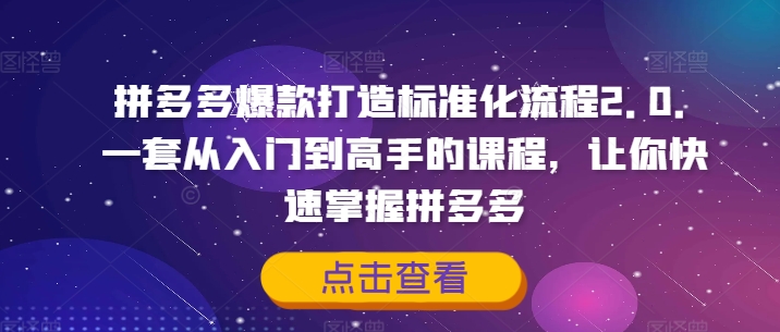 拼多多爆款打造标准化流程2.0，一套从入门到高手的课程，让你快速掌握拼多多-鼎铸网