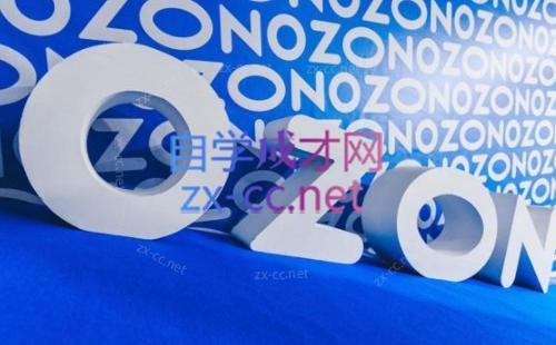 森哥·出海俄罗斯电商实操(2024)-鼎铸网