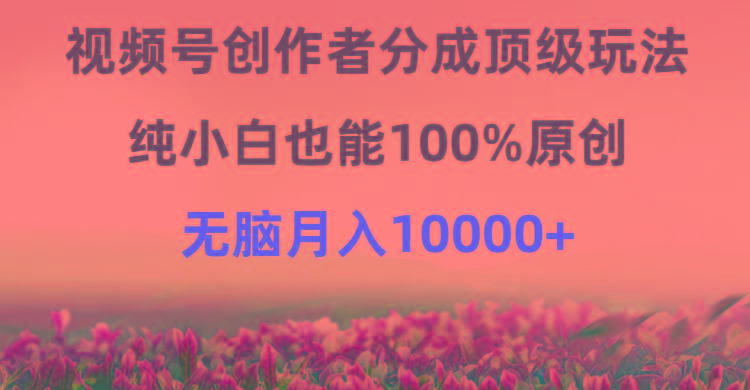 (9608期)视频号创作者分成顶级玩法，纯小白也能100%原创，无脑月入10000+-鼎铸网