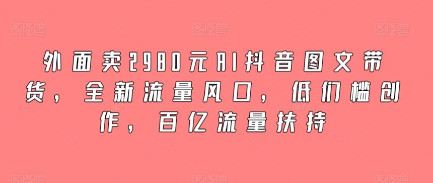 外面卖2980元AI抖音图文带货，全新流量风口，低们槛创作，百亿流量扶持-鼎铸网