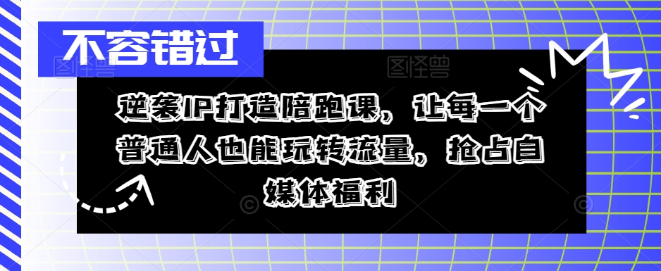 逆袭IP打造陪跑课，让每一个普通人也能玩转流量，抢占自媒体福利-鼎铸网