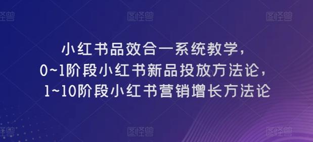 小红书品效合一系统教学，​0~1阶段小红书新品投放方法论，​1~10阶段小红书营销增长方法论-鼎铸网