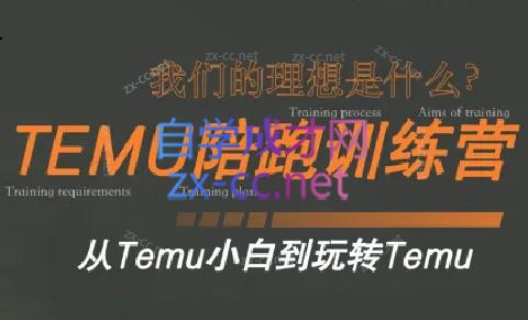 苗苗·拼多多跨境（temu）课程-鼎铸网