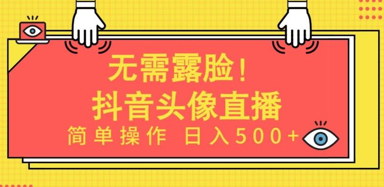 无需露脸，Ai头像直播项目，简单操作日入500+【揭秘】-鼎铸网