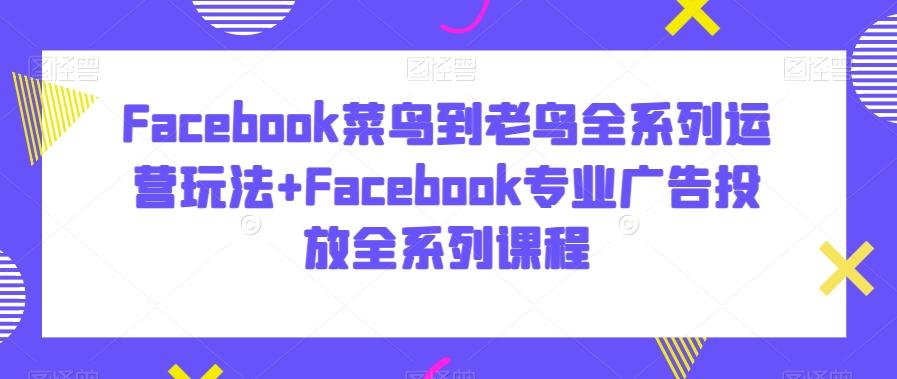 Facebook菜鸟到老鸟全系列运营玩法+Facebook专业广告投放全系列课程-鼎铸网