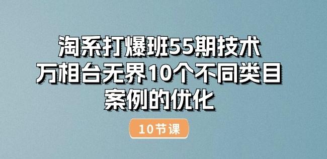 淘系打爆班55期技术：万相台无界10个不同类目案例的优化(10节)-鼎铸网