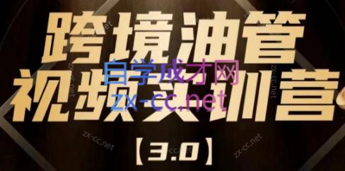 阿蔺Leo·跨境油管视频YouTube实训营(更新2025)-鼎铸网