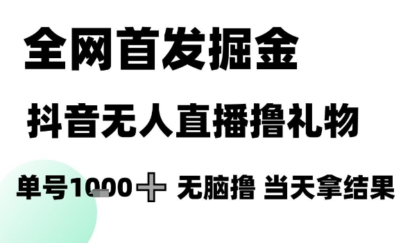 全网首发掘金抖音无人直播撸礼物，单号1k +无脑撸，当天拿结果【揭秘】-鼎铸网