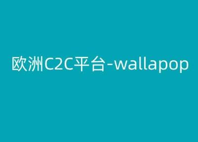 欧洲C2C平台-wallapop-kim跨境电商教程-鼎铸网