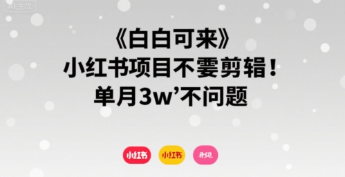 小白可来 小红书项目不需要剪辑 单月3w不是问题-鼎铸网