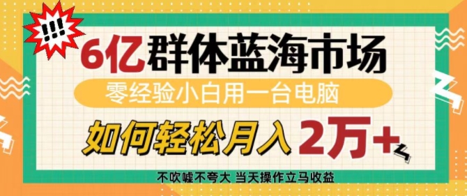 6亿群体蓝海市场，零经验小白用一台电脑，如何轻松月入过w【揭秘】-鼎铸网