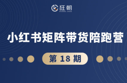 盗坤·抖音小红书视频号短视频带货与直播变现(11-18期)-鼎铸网