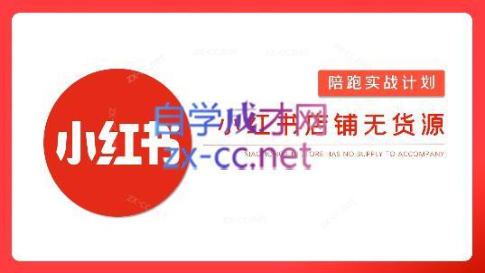 安琪·小红书店铺无货源-鼎铸网