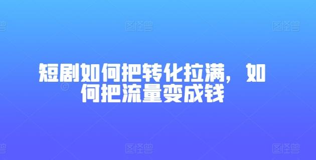 短剧如何把转化拉满，如何把流量变成钱-鼎铸网