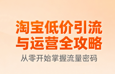 淘宝低价引流与运营全攻略(更新9月)-鼎铸网
