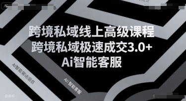 跨境私域线上高级课程，跨境私域极速成交3.0+Ai智能客服-鼎铸网