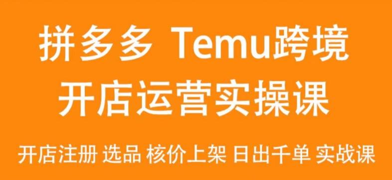 2024Temu最新玩法，Temu跨境开店运营实操课，开店注册/选品/核价上架/日出千单实战课-鼎铸网