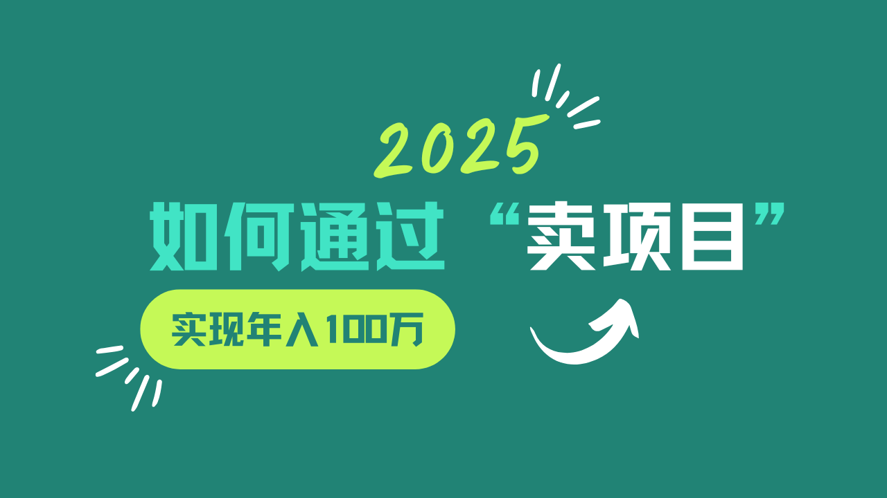 2025年如何通过“卖项目”实现年入100w-鼎铸网