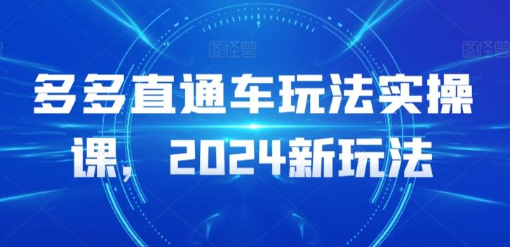 多多直通车玩法实操课，2024新玩法-鼎铸网