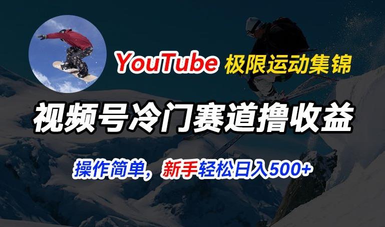 视频号冷门赛道撸收益，YouTube搬运极限运动集锦，暴力起号，操作简单流量高，轻松日入5张【揭秘】-鼎铸网