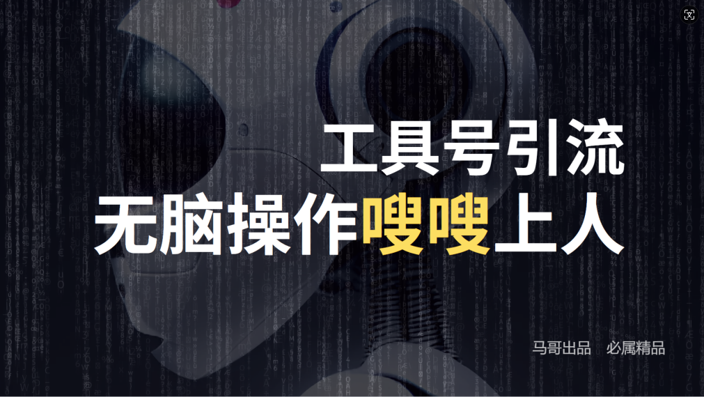 24年抖音最新工具号日引流300+创业粉，日入5000+-鼎铸网