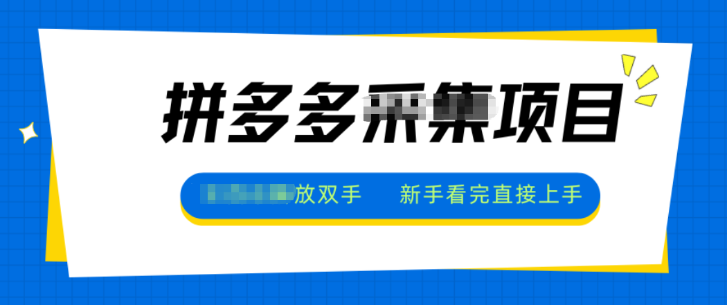 拼多多电商采集，一小时50+，操作简单，零投资-鼎铸网