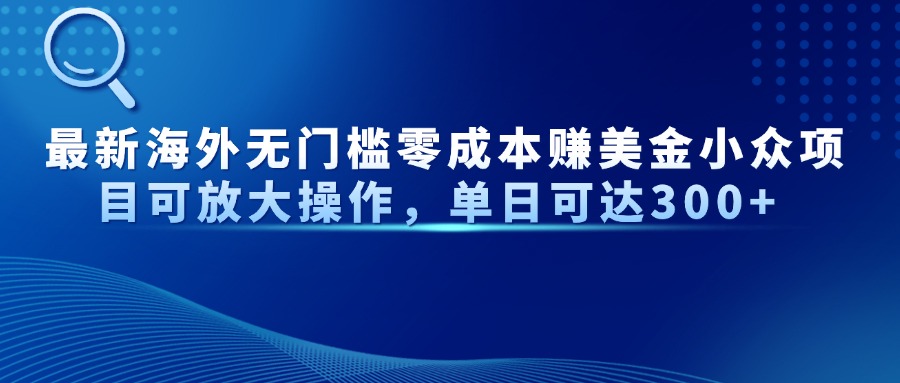 最新海外无门槛零成本赚美金小众项目可放大操作，单日可达300+-鼎铸网