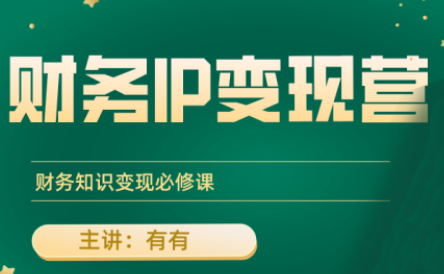 有有老师·财务IP变现营，财务知识变现必修课-鼎铸网