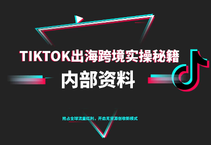 TikTok跨境电商0-1搭建运营(更新10月)-鼎铸网