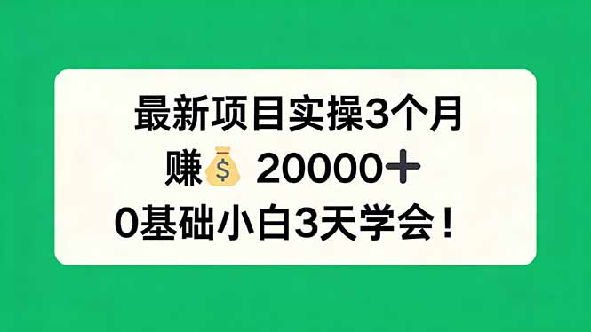 最新项目实操3个月，赚钱20000+，0基础小白3天学会！-鼎铸网