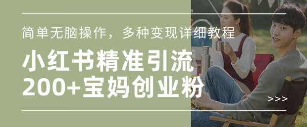 小红书混剪日引200+宝妈创业粉，简单无脑操作，多种变现详细教程-鼎铸网