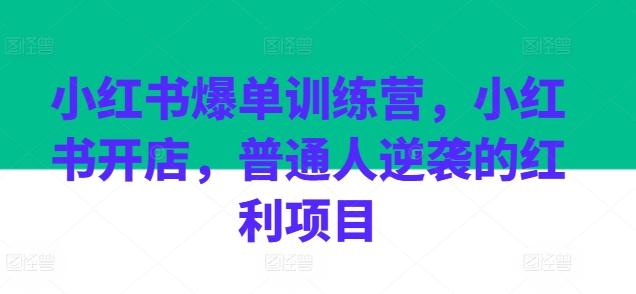 小红书爆单训练营，小红书开店，普通人逆袭的红利项目-鼎铸网