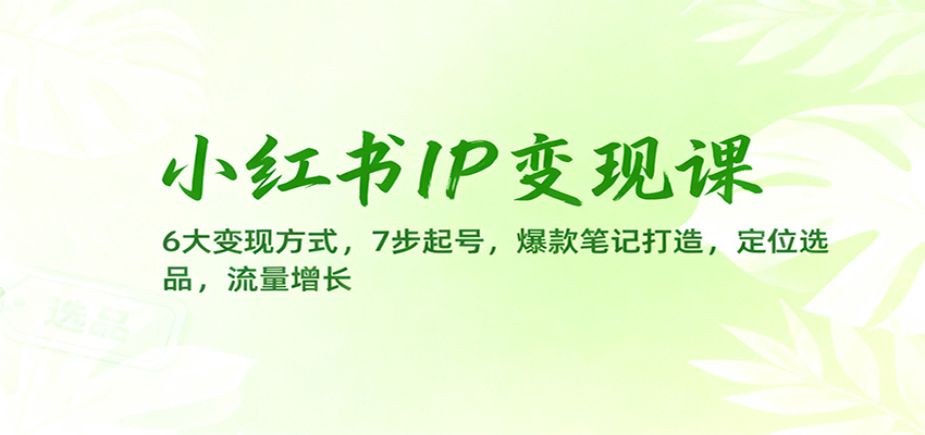 小红书IP变现课：6大变现方式，7步起号，爆款笔记打造，定位选品，流量增长-鼎铸网