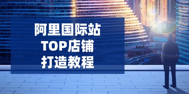 阿里国际站TOP店铺打造教程：涵盖平台到高阶，解决运营难题，提升询盘-鼎铸网