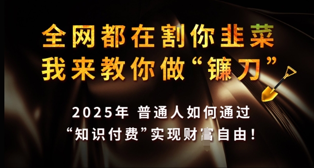 全网都在割你韭菜，我来教你做镰刀，2025年普通人如何通过 知识付费 实现财F自由【揭秘】-鼎铸网