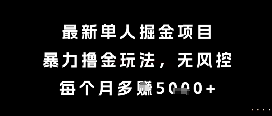最新单人掘金项目，暴力撸金玩法，无风控，每个月多挣5k+【揭秘】-鼎铸网