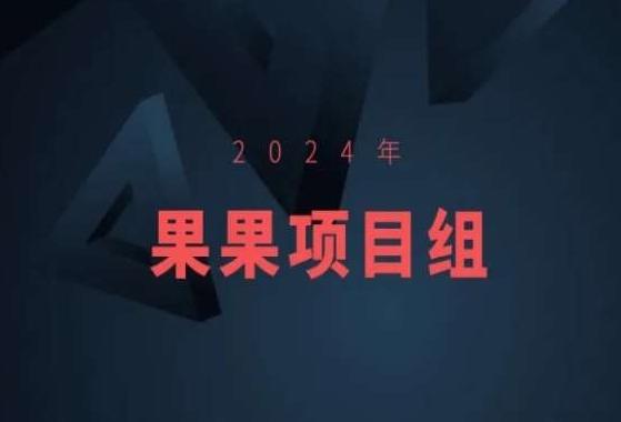 2024年果果项目组项目合集-果果最新项目-鼎铸网