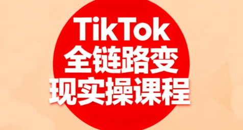 小杨老师·TikTok全链路变现实操课程-鼎铸网
