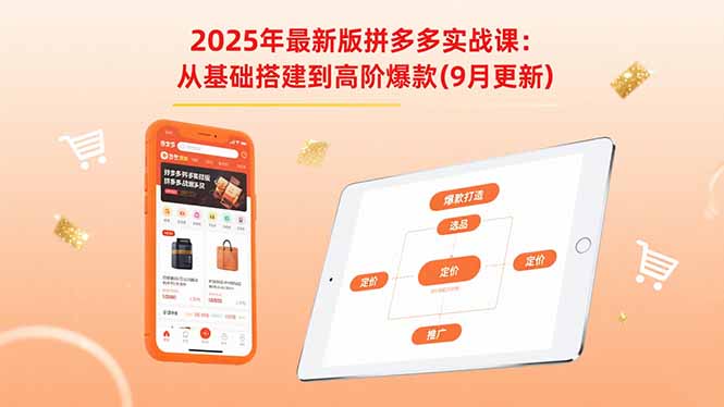 2025年最新版拼多多实战课：从基础搭建到高阶爆款(9月更新-鼎铸网