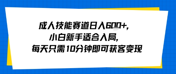 成人技能赛道日入多张，小白新手适合入局，每天只需10分钟即可获客变现-鼎铸网