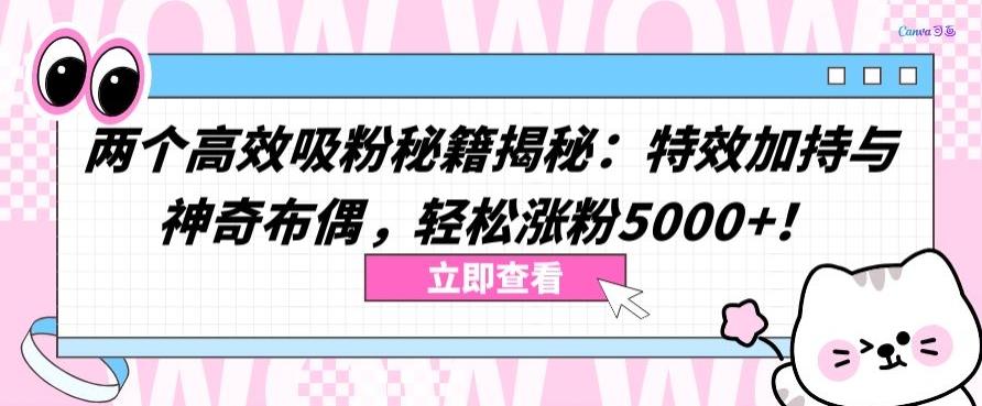 两个高效吸粉秘籍揭秘：特效加持与神奇布偶，轻松涨粉5000+【揭秘】-鼎铸网
