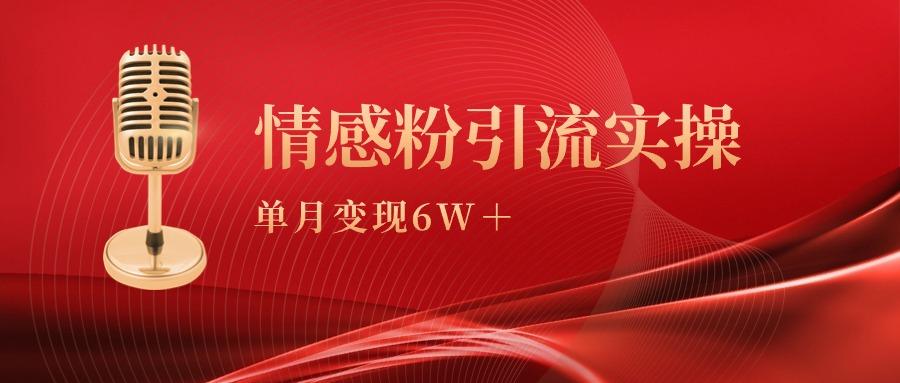 (9473期)单月变现6w+，情感粉引流变现实操课-鼎铸网