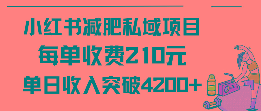 (9466期)小红书减肥私域项目每单收费210元单日成交20单，最高日入4200+-鼎铸网