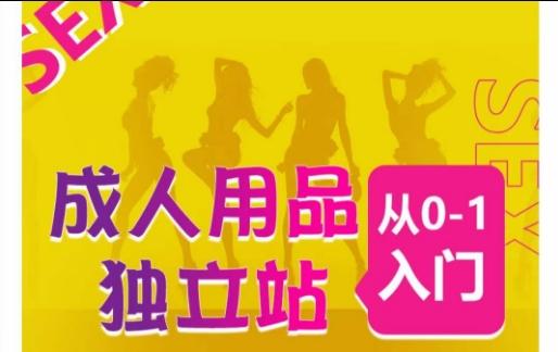 成人用品独立站从0-1入门，成品独立站运营全流程教学，七大好卖成品独立站推荐-鼎铸网