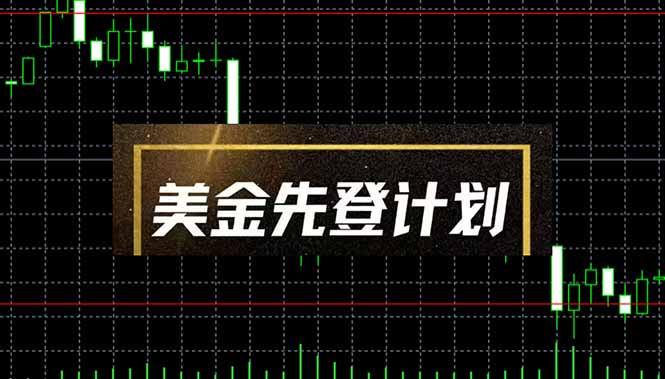 美金先登计划(2025黑马项目-鼎铸网