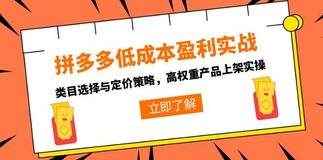 拼多多低成本盈利实战，类目选择与定价策略，高权重产品上架实操-鼎铸网