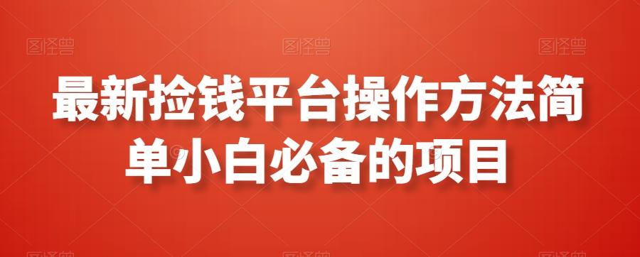 最新捡钱平台操作方法简单小白必备的项目-鼎铸网