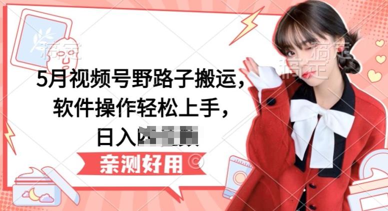 5月视频号野路子搬运，软件操作轻松上手，日入三位数【揭秘】-鼎铸网